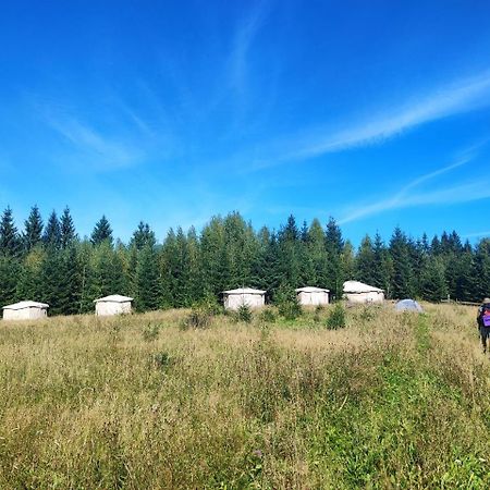 Eco glamping - Carpathians. Retreat hub Dzin Space Wierchowina Zewnętrze zdjęcie