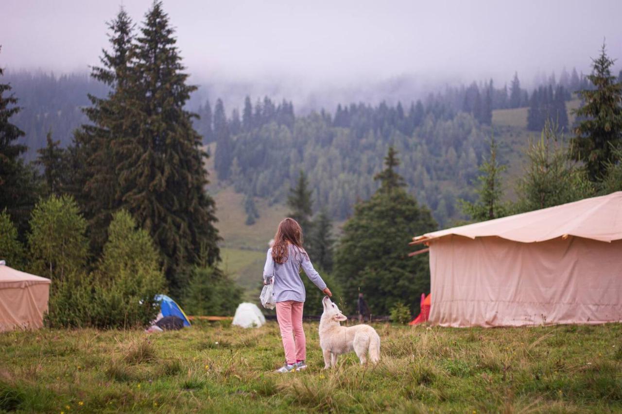 Eco glamping - Carpathians. Retreat hub Dzin Space Wierchowina Zewnętrze zdjęcie