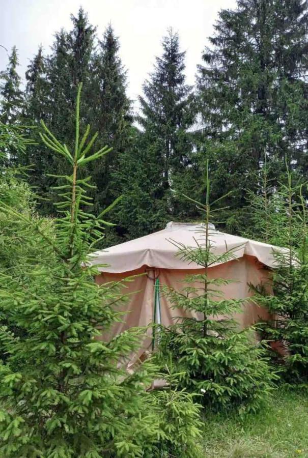 Eco glamping - Carpathians. Retreat hub Dzin Space Wierchowina Zewnętrze zdjęcie