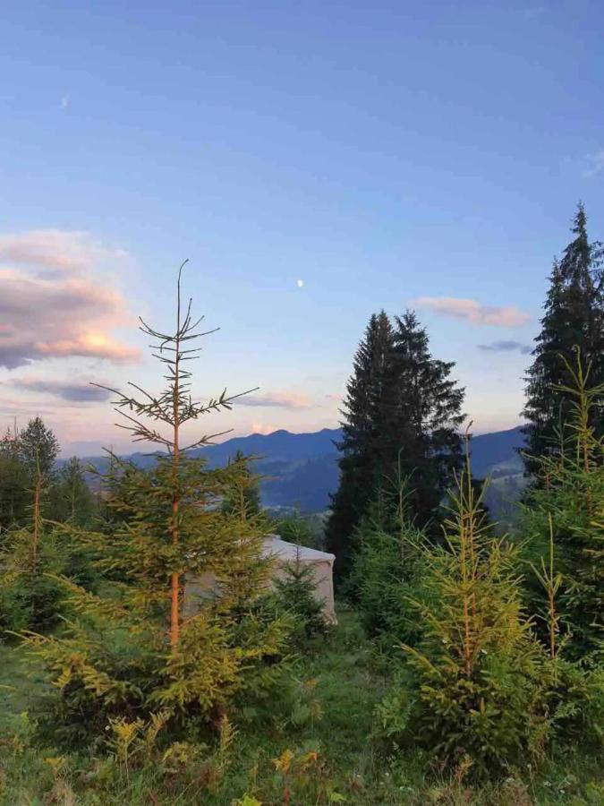 Eco glamping - Carpathians. Retreat hub Dzin Space Wierchowina Zewnętrze zdjęcie