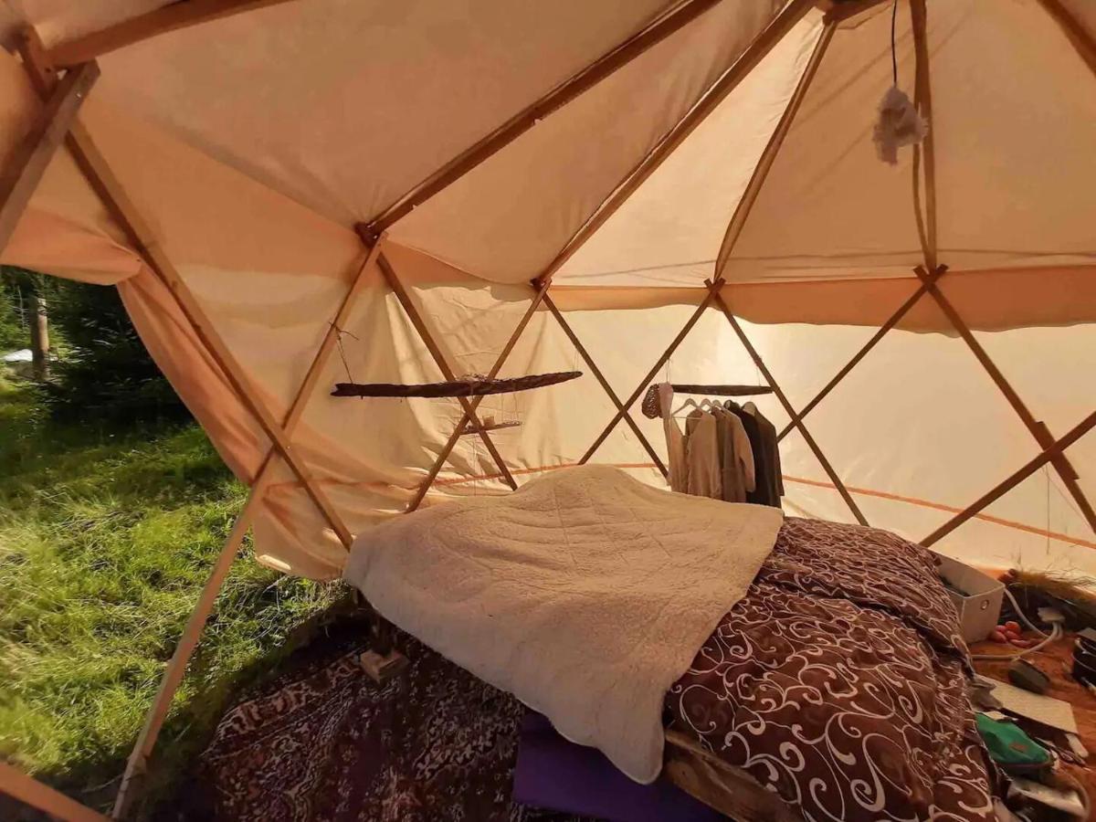 Eco glamping - Carpathians. Retreat hub Dzin Space Wierchowina Zewnętrze zdjęcie