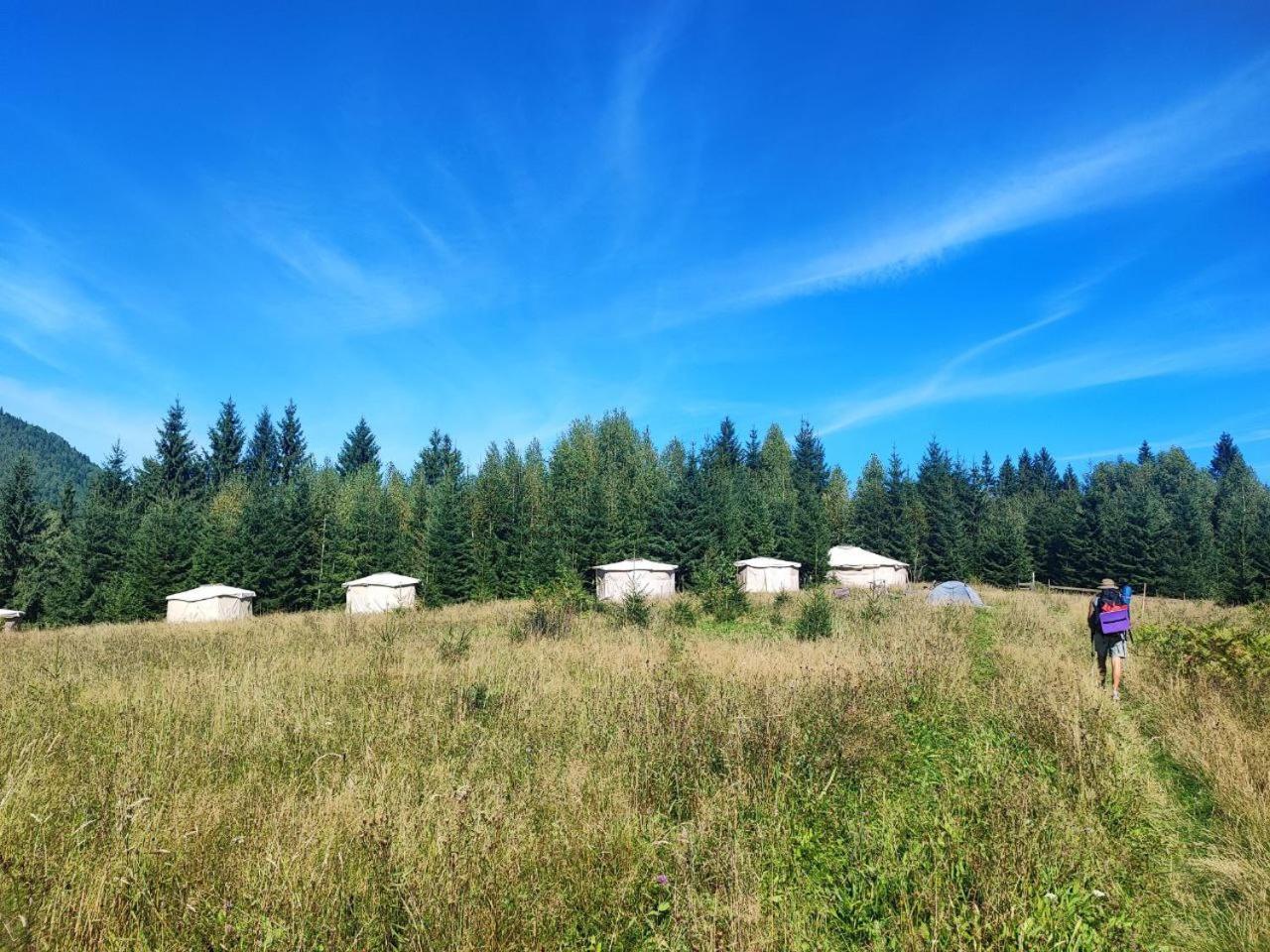 Eco glamping - Carpathians. Retreat hub Dzin Space Wierchowina Zewnętrze zdjęcie